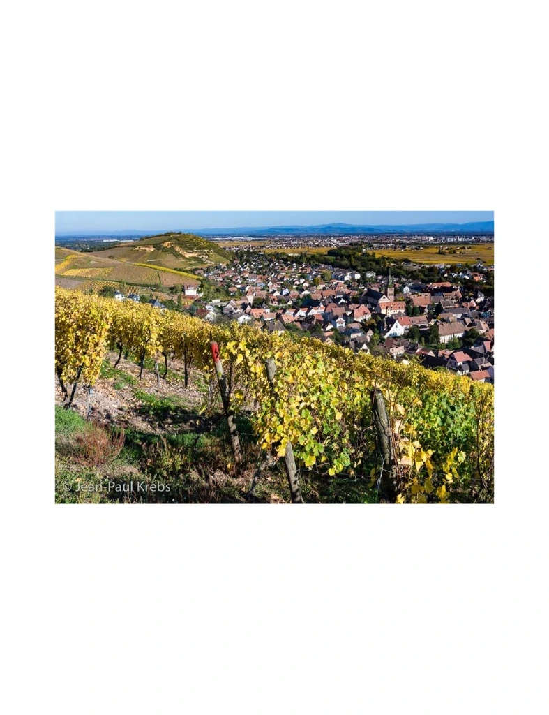 Gewurztraminer-Grand-Cru-Brand2.webp